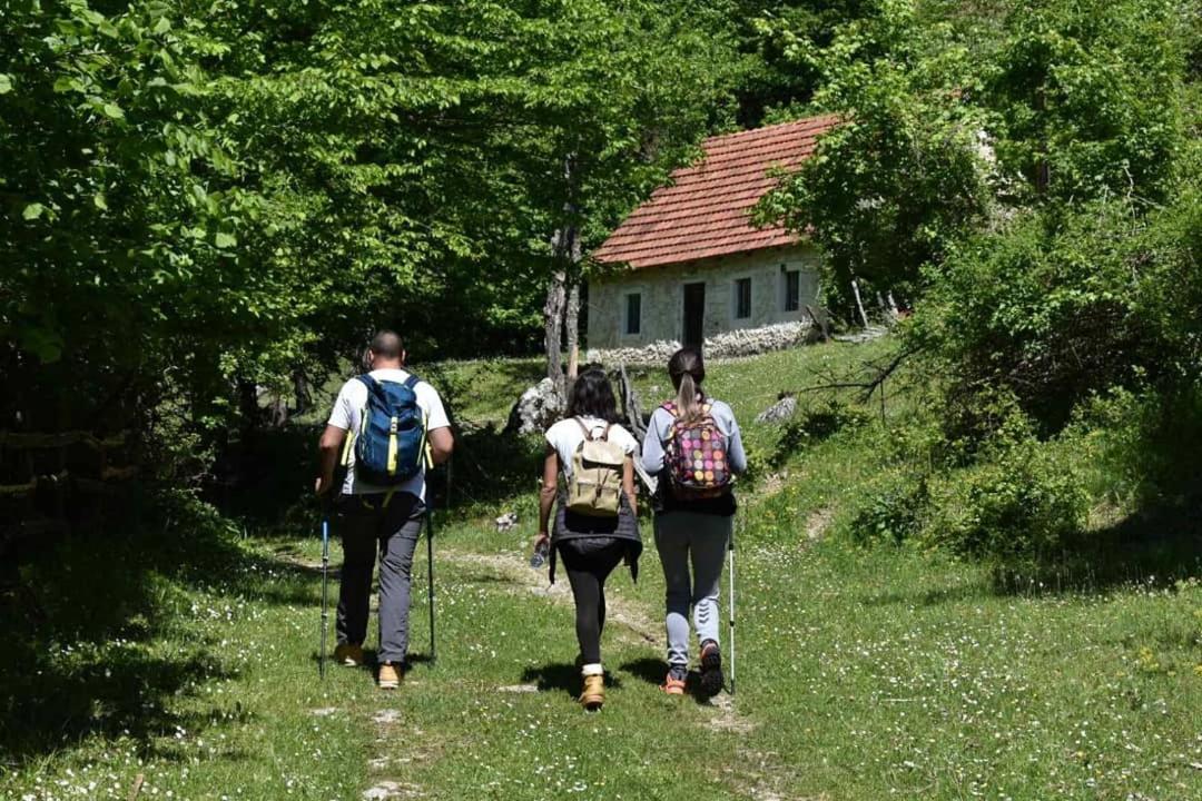 Apartman Sara Plužine Exteriör bild