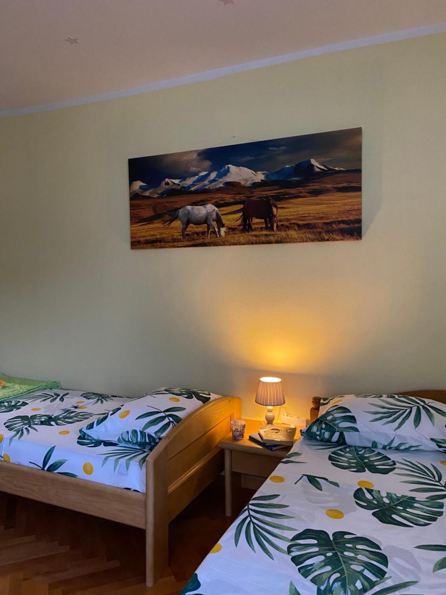 Apartman Sara Plužine Exteriör bild