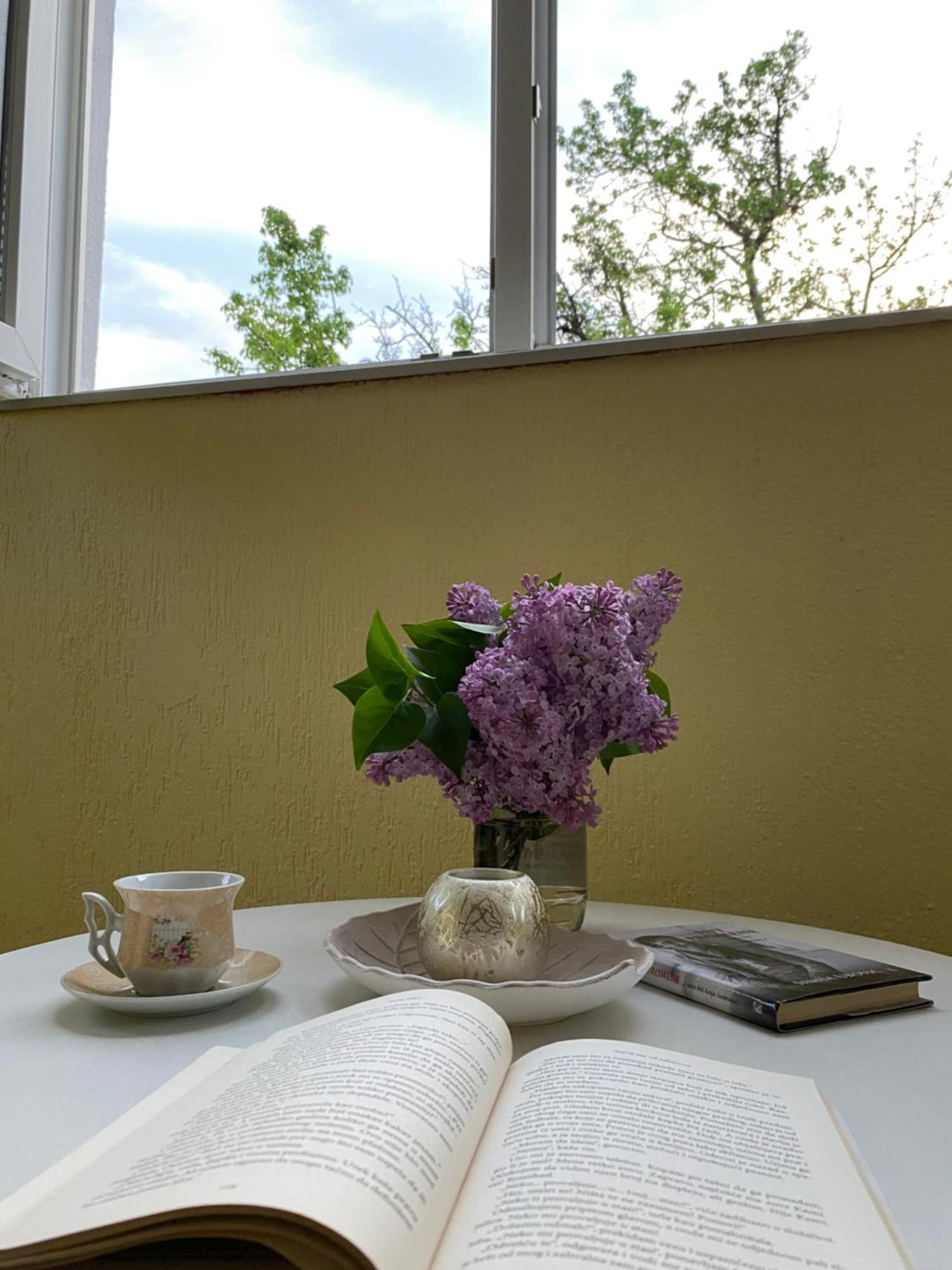 Apartman Sara Plužine Exteriör bild